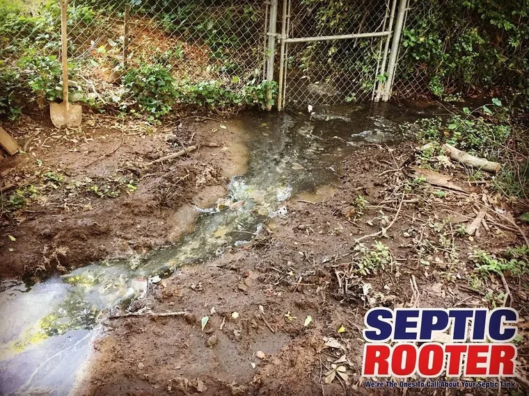 Surfacing effluent pooling in a yard near a septic system